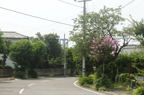 D2013042_021H