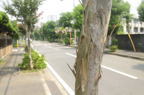 D2013042_028H