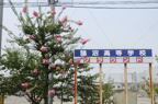 D2013042_038H