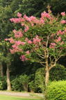 D2013043_016V