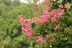 D2013043_019H