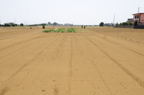D2013044_003H