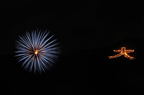 D2013045_025H