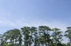 D2013046_001H