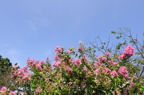 D2013046_005H