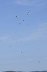 D2013046_065V