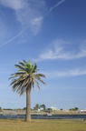 D2013046_095V