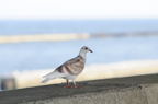 D2013050_047H