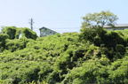 D2013052_079H