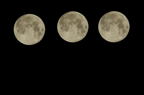 D2013056_058H