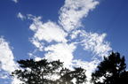 D2013059_007H