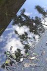 D2013059_012V