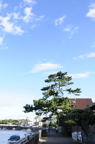 D2013059_016V