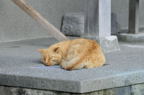 D2013060_023H