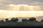 D2013060_091H