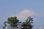 D2013070_011H