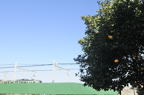 D2013070_027H