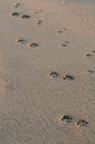 D2013070_047V