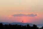 D2014001_007H