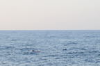 D2014001_039H