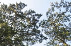D2014002_006H
