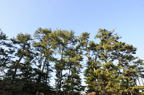 D2014002_008H