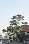D2014002_015V