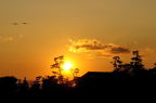 D2014002_053H