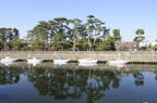 D2014003_010H