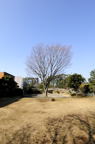 D2014003_015V