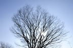 D2014003_017H