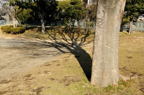 D2014003_018H