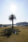 D2014003_030V