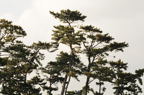 D2014004_001H