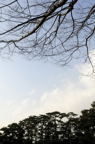 D2014004_008V