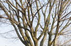 D2014004_013H