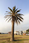 D2014004_029V