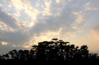 D2014004_058H