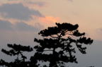 D2014004_065H