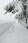 D2014005_002V