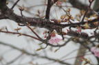 D2014005_012H