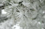 D2014005_013H