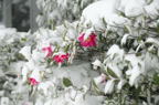D2014005_015H