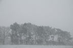 D2014005_017H