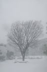 D2014005_059V