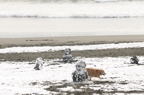 D2014006_009H