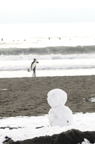 D2014006_013V
