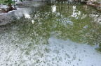 D2014006_039H