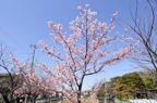 D2014007_005H