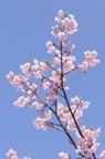 D2014007_009V